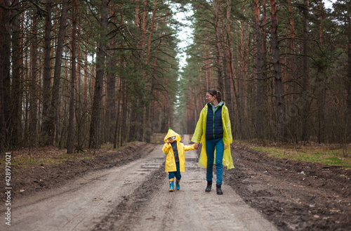 Mom and child walking along the forest road after rain in raincoats together