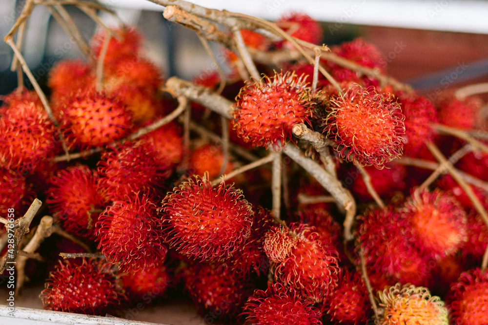 Rambutan Frucht rot Rambutan Frucht rot