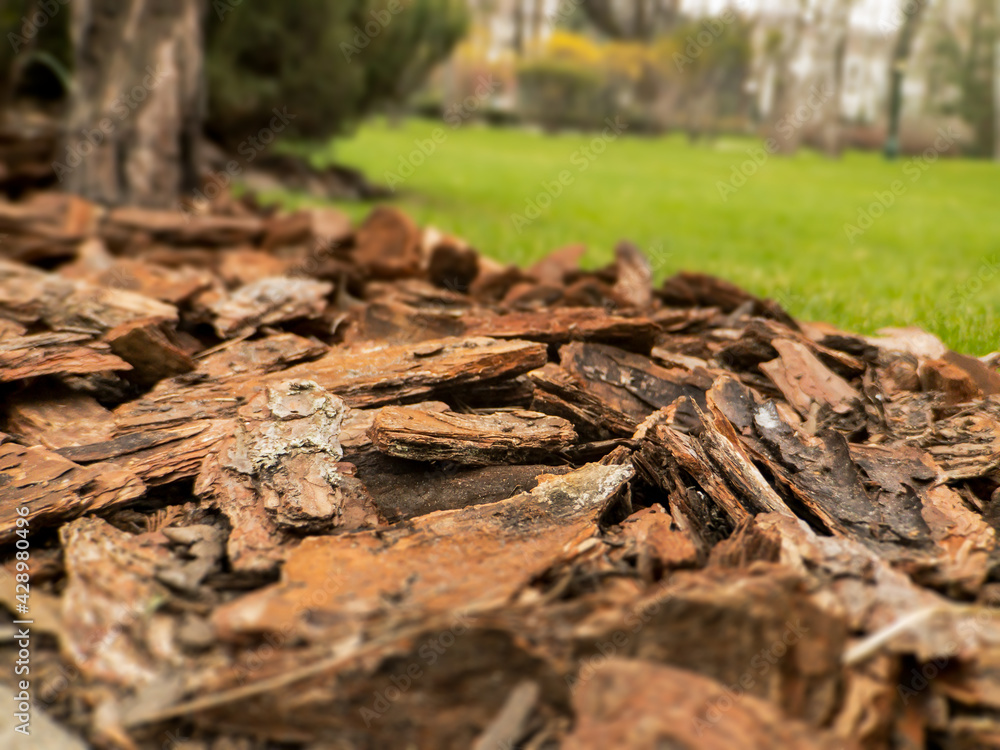 Design design of puddles of mulch from natural pine brown bark close-up. Mulch is an element of landscape design of plots. Design design of puddles of mulch from natural pine brown bark close-up. Mulch is an element of landscape design of plots.