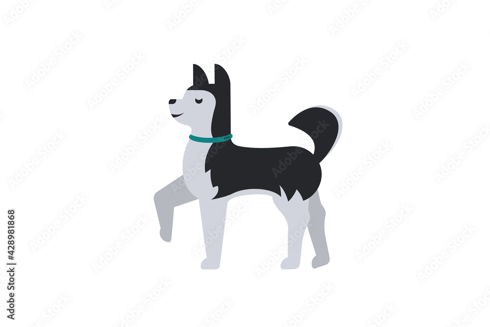 Sled dog - Siberian Husky in a collar. Dog icon or logo element.Vector illustration. Flat style. Standard breed design, side view. Cartoon character of a dog. Pet..