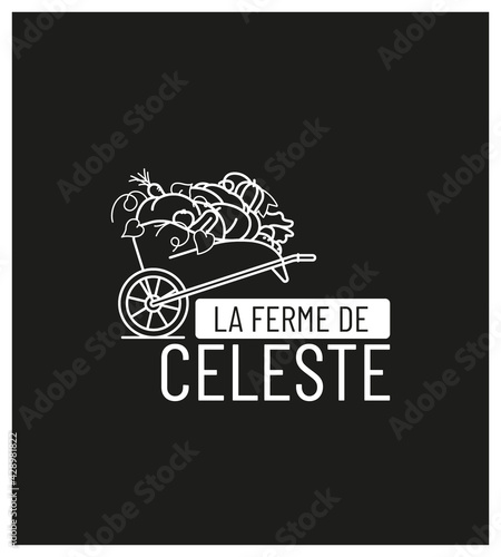 identité visuelle pour vente directe à la ferme légumes et fruits de saison, logo, tampon, motif, sac, étiquette, mockup, 