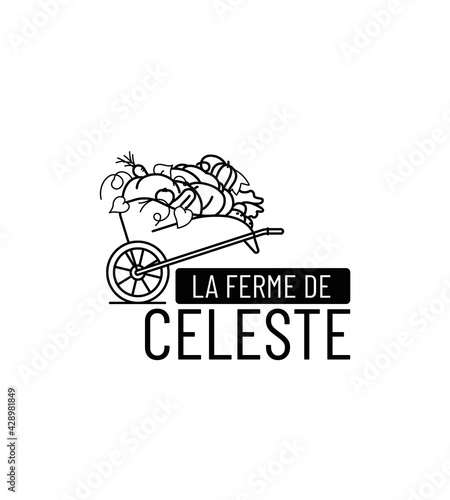 identité visuelle pour vente directe à la ferme légumes et fruits de saison, logo, tampon, motif, sac, étiquette, mockup, 