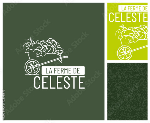 identité visuelle pour vente directe à la ferme légumes et fruits de saison, logo, tampon, motif, sac, étiquette, mockup, 