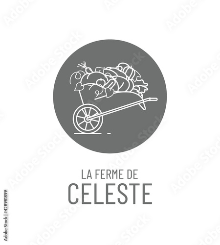 identité visuelle pour vente directe à la ferme légumes et fruits de saison, logo, tampon, motif, sac, étiquette, mockup, 