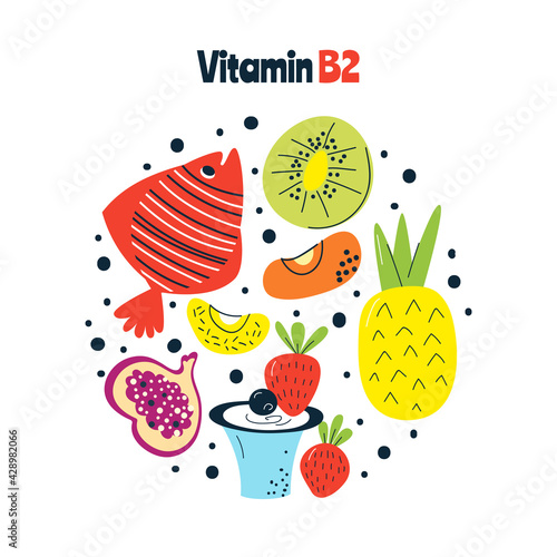 The main food sources of vitamin B2. Healthy food concept.