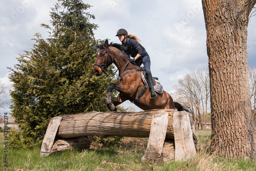 Foto Reiterin springt mit ihrem Pferd über einen Baumstamm