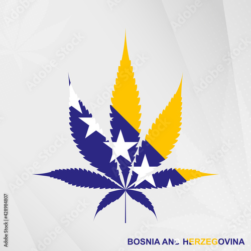 Flag of Bosnia and Herzegovina in Marijuana leaf shape. The concept of legalization Cannabis in Bosnia and Herzegovina.