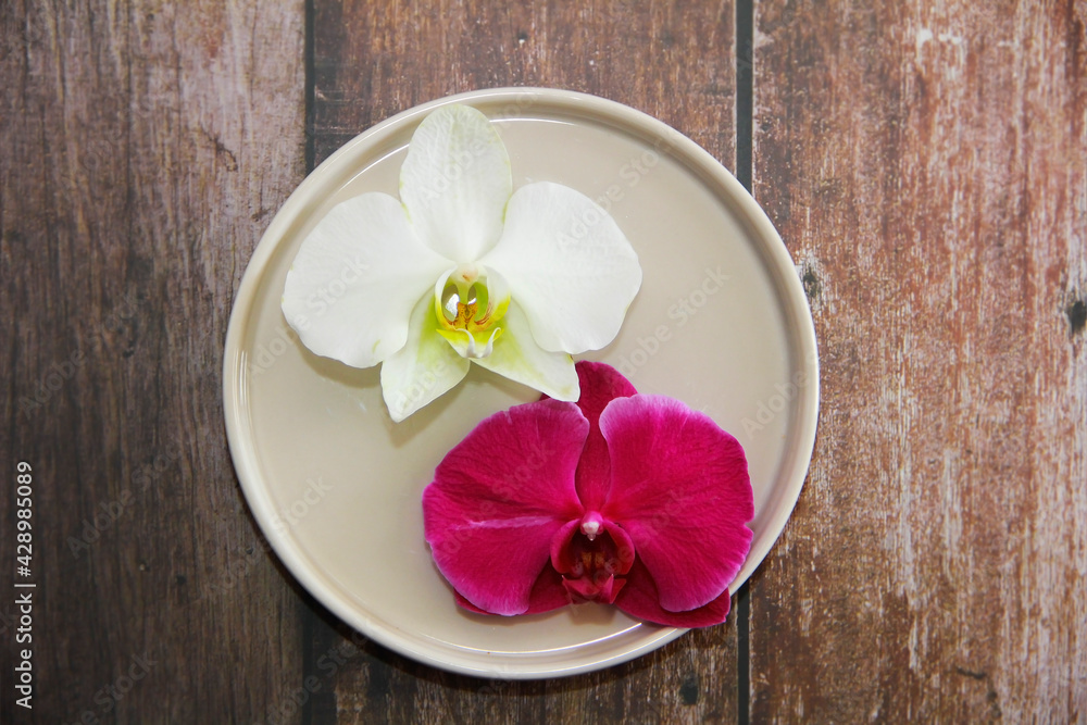 orchid flowers with petals on a decorative plate