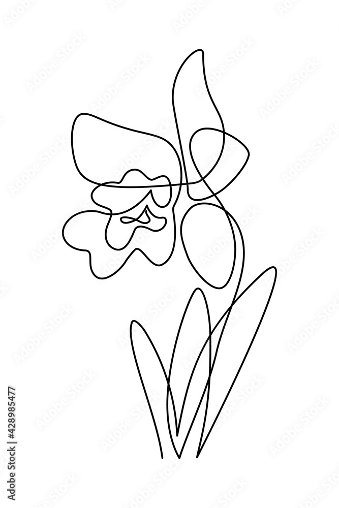 Orchid flower in continuous line art drawing style. Beautiful cattleya