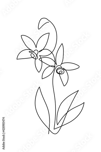 Orchid flower in continuous line art drawing style. Abstract flowering plant of Orchidaceae black linear design isolated on white background. Vector illustration