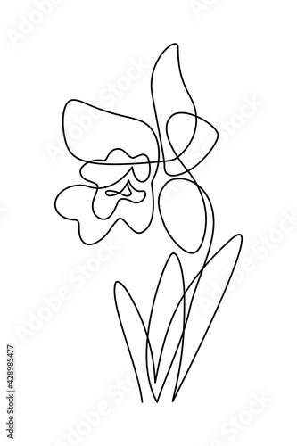 Orchid flower in continuous line art drawing style. Beautiful cattleya flowering plant black linear design isolated on white background. Vector illustration