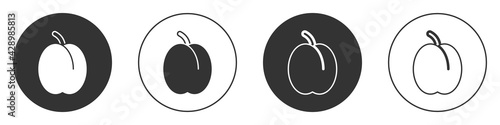 Black Plum fruit icon isolated on white background. Circle button. Vector