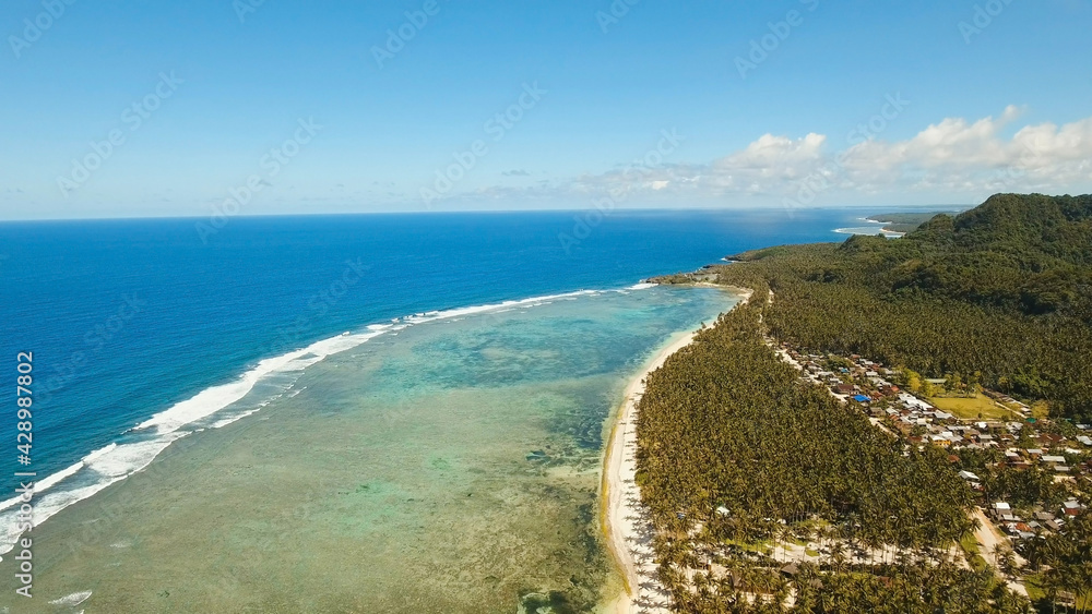 Aerial view of tropical beach on the island Siargao, Philippines. Beautiful tropical island with sand beach, palm trees. Tropical landscape: beach with palm trees. Seascape: Ocean, sky, sea