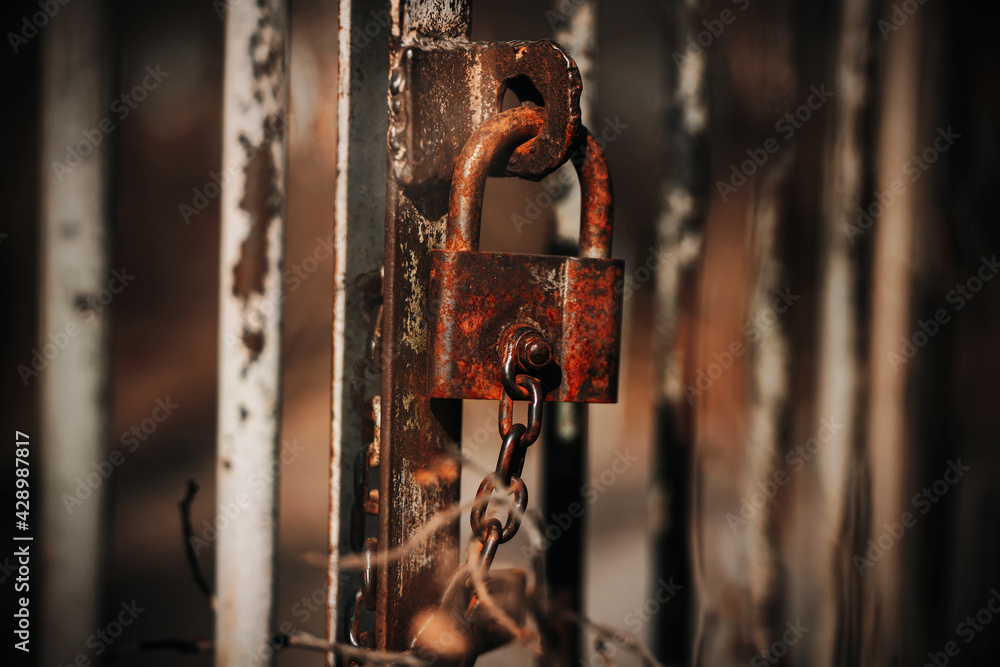 An old rusty metal padlock hangs on an old abandoned gate in the gloomy weather of autumn. Fearfully. An old rusty metal padlock hangs on an old abandoned gate in the gloomy weather of autumn. Fearfully.