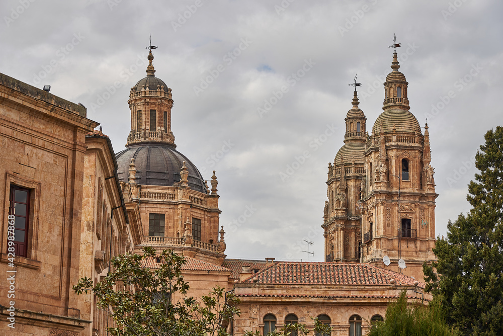 Una preciosa tarde en la ciudad de Salamanca, cielo azul, flores y monumentos.