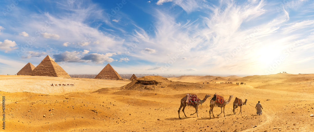 Pyramids of Egypt and a bedouin with camel caravan, sunset panorama, Giza