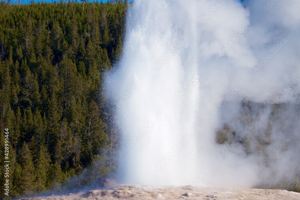 Old Faithful Geyser in Yellowstone National Park