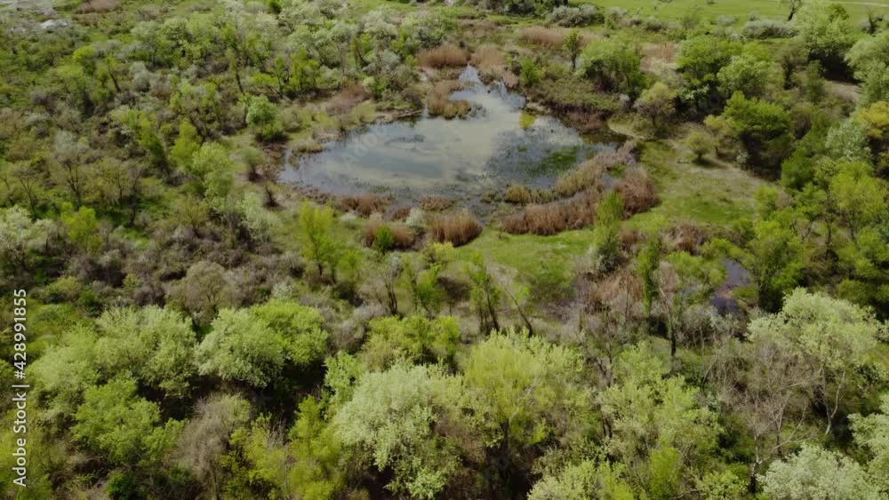 swampy lake aerial view swampy lake aerial view
