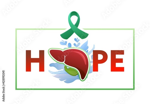 concept vector banner human liver