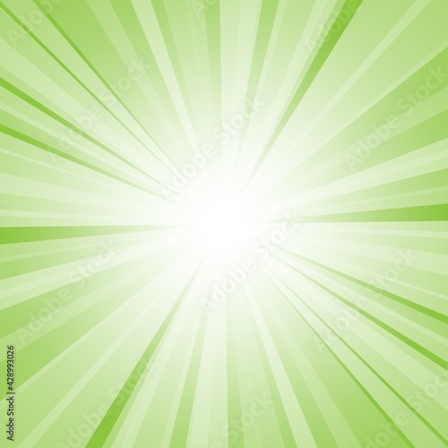 Abstract green background with sun ray. Summer vector illustration