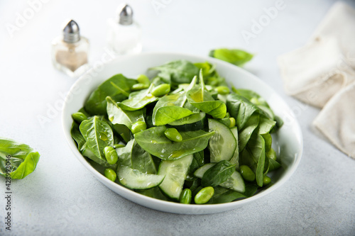 Healthy green salad with fresh cucumber