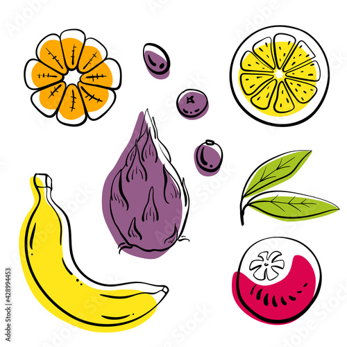 Banana, dragon fruit, orange, maracuya, berries. Colorful line sketch collection of fruits and berries isolated on white background. Doodle hand drawn fruits. Vector illustration