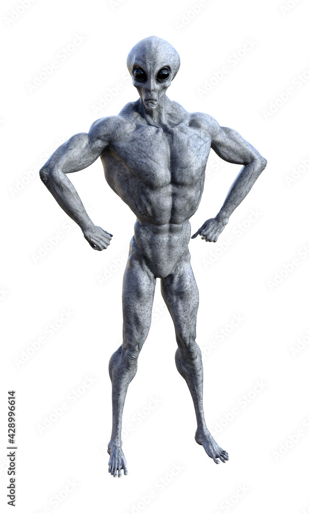 Illustration of a muscled gray alien standing in a defensive pose
