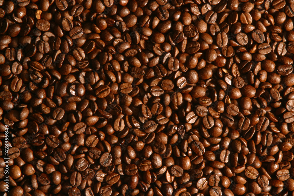 Obraz premium coffee beans texture
