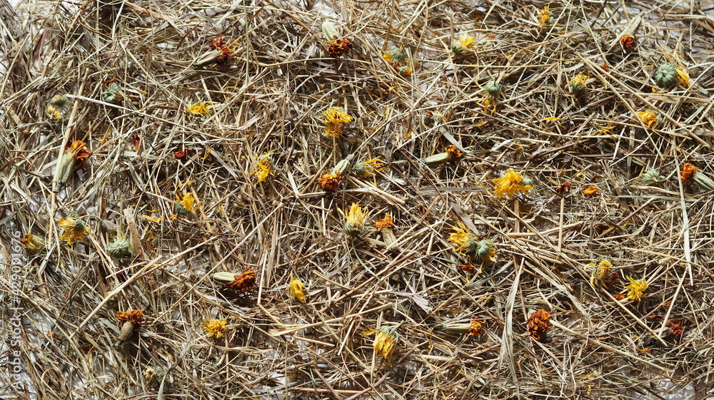 Background from dried hay and straw. Autumn theme and agriculture.