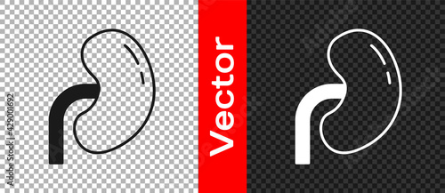 Black Human kidney icon isolated on transparent background. Vector