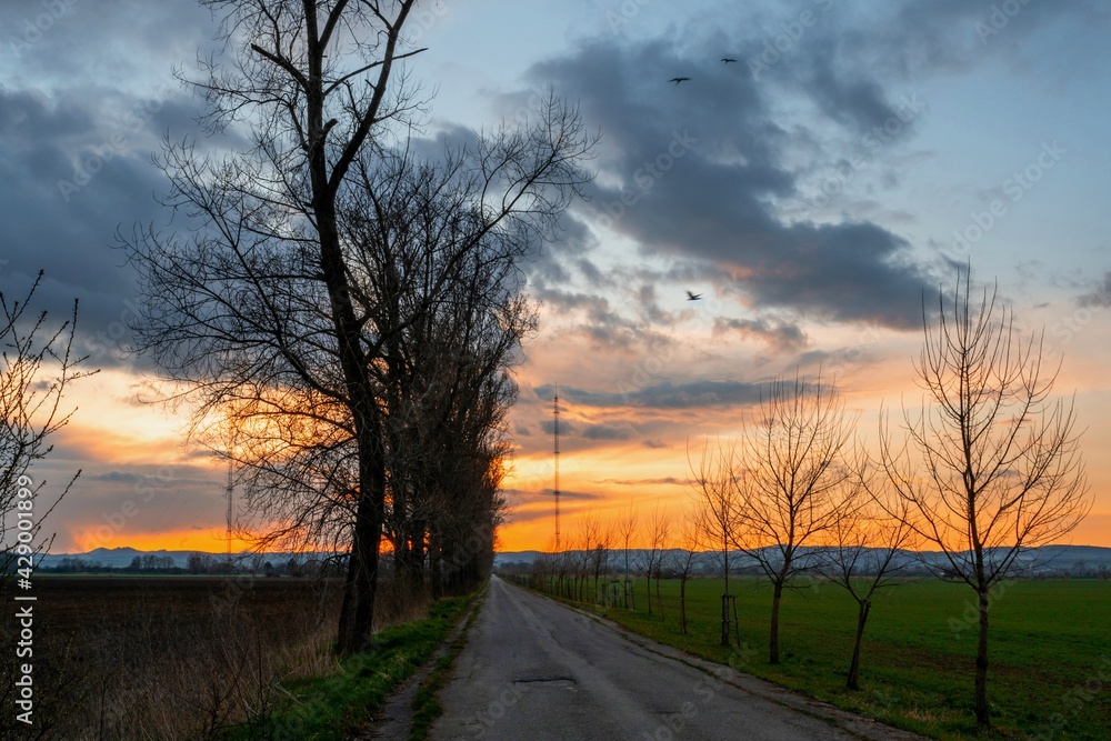 Sunset illumination above alley and dirty road. Sunset illumination above alley and dirty road.
