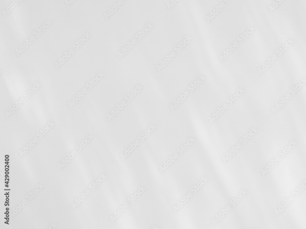 abstract shadow of palm leaf on white wall background