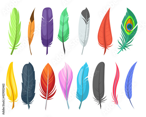 Shiny feathers of birds flat vector illustrations set. Variety of colorful quills, ostrich feathers isolated on white background. Birds, nature, decoration concept