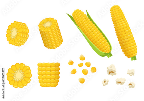 Cartoon pieces of corn vector illustrations set. Cobs and grains or seeds of corn, popcorn, yellow vegetable isolated on white background. Food, farming, agriculture concept