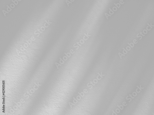abstract shadow of palm leaf on white wall