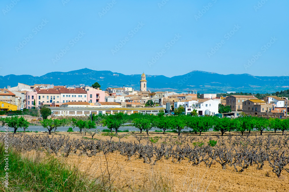 panoramic view of Nulles, in Catalonia, Spain