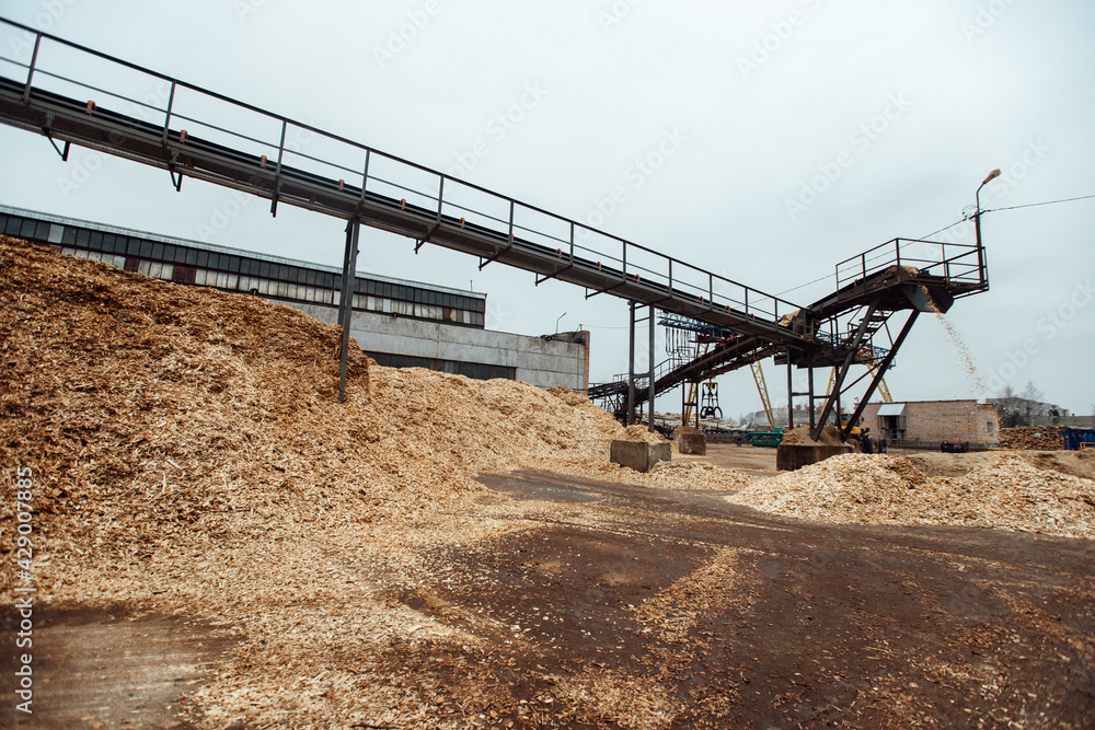 conveyor with wood chips. storage of woodworking waste at the factory. open-air lumber warehouse conveyor with wood chips. storage of woodworking waste at the factory. open-air lumber warehouse