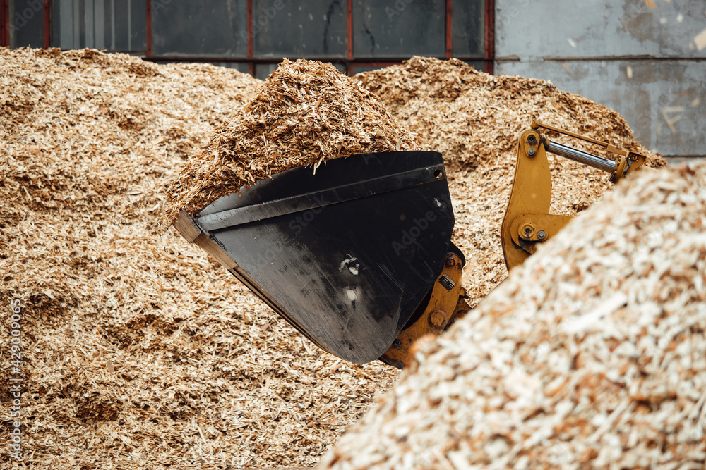 the excavator loads wood chips. the large bucket of the conveyor loads