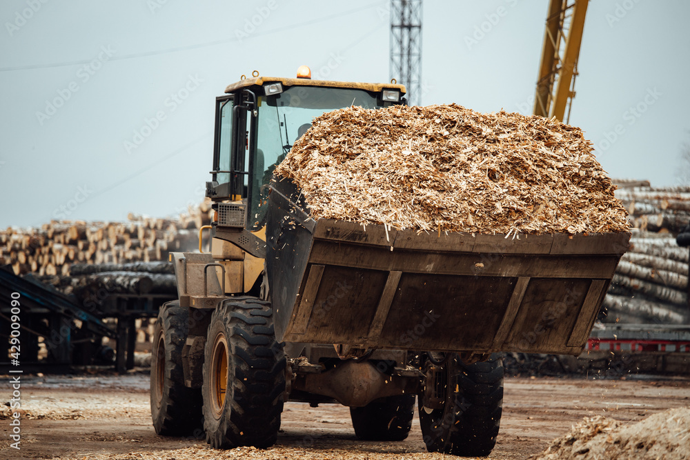 the excavator loads wood chips. the large bucket of the conveyor loads