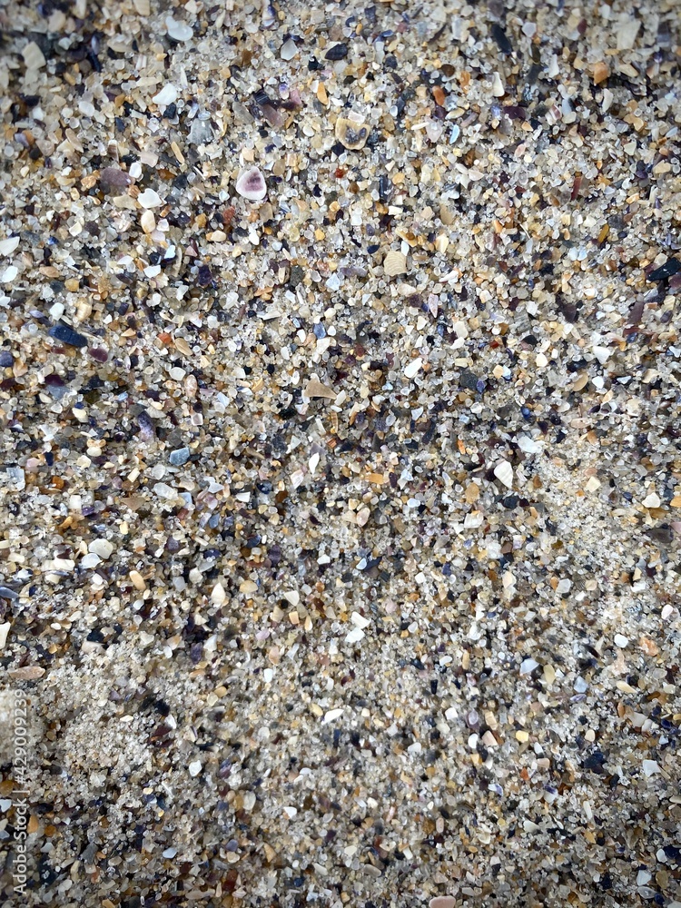 Marine background with sea shells on beach Marine background with sea shells on beach