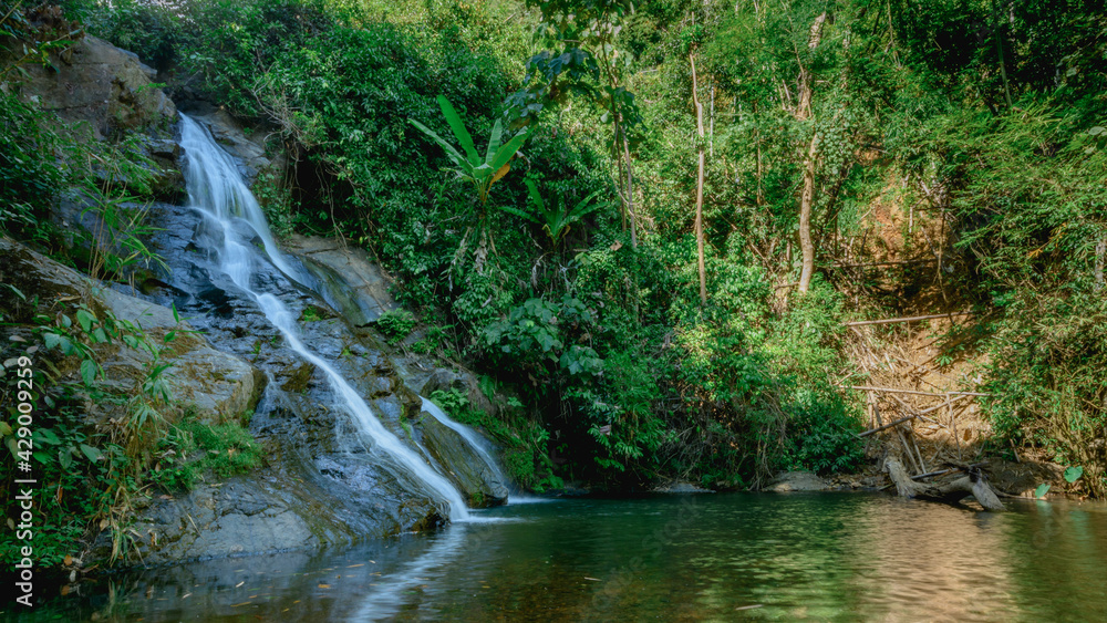 Waterfall in the jungle.