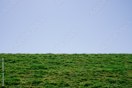 Dike covered with green grass