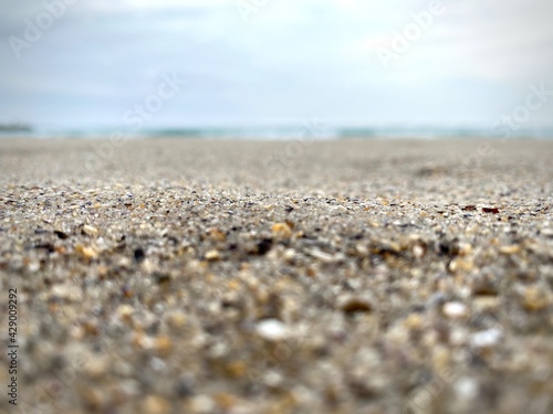 Marine blurred background with sea shells, landscape image of beach and the sea