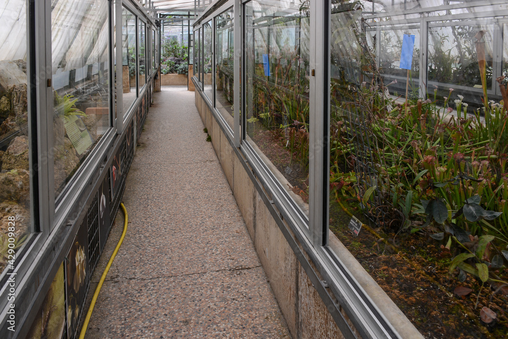 Lyon, France - October 25, 2020: Botanical garden in the park of the Golden Head (Le Parc de la Tete d'Or) Lyon, France - October 25, 2020: Botanical garden in the park of the Golden Head (Le Parc de la Tete d'Or)