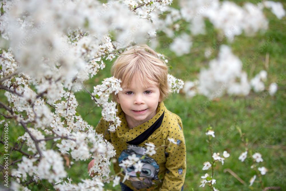 Cute blond toddler child, boy, running around blooming yellow bush, spring time, while snowing Cute blond toddler child, boy, running around blooming yellow bush, spring time, while snowing