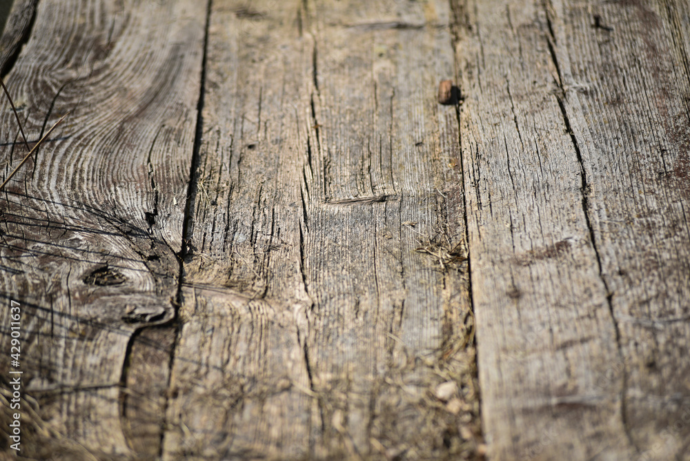 Wood texture of an old wooden wall. Selective focus. Background for design.