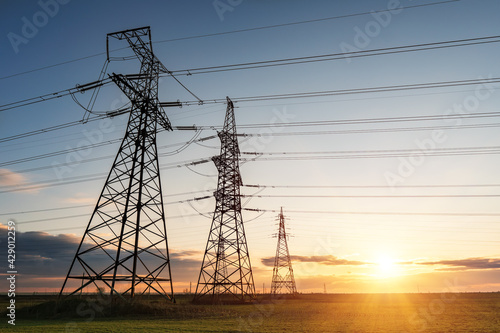 power lines in the spring in a green wheat field