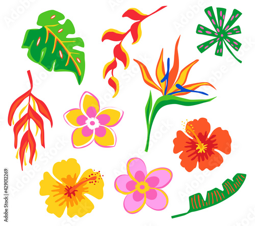 bright colorful cartoon tropical flowers and leaves
