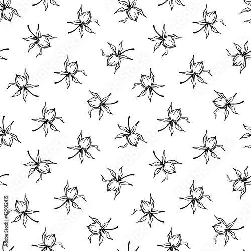 black and white outlined sketchy florals seamless pattern, endless repeatable flower texture © VecTerrain