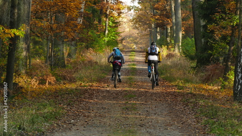 Wycieczka rowerowa po lesie